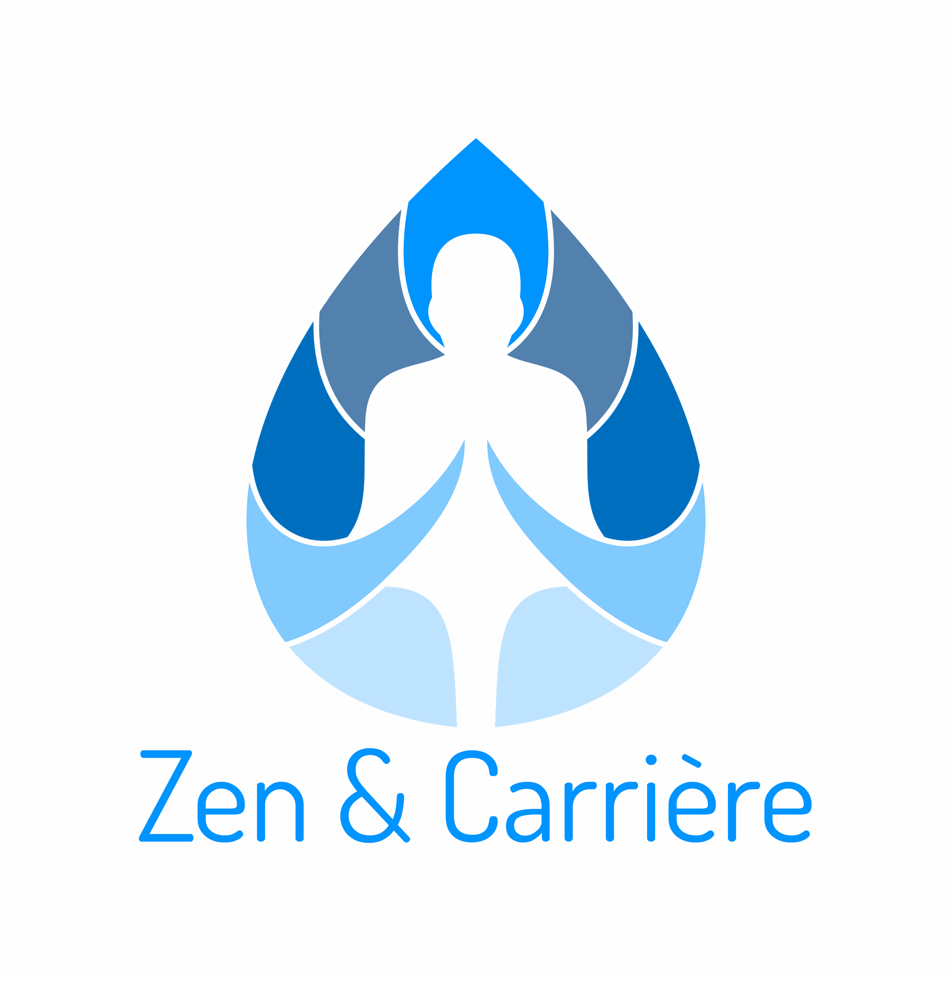 Zen et carriere